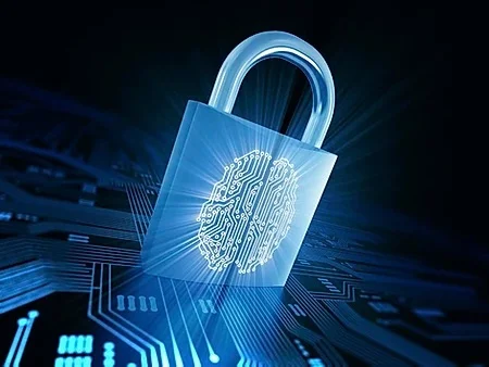 interim dpo services case studies