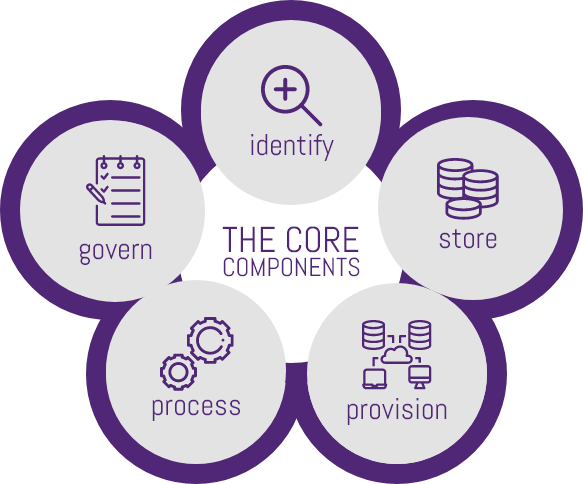 core components of a data strategy image