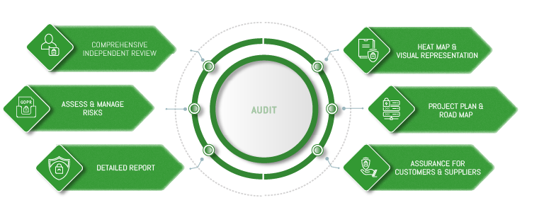 audit infographic
