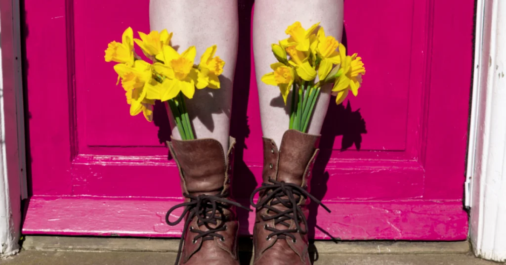 yellow daffodils in brown leather boots in front of a bright pink door, representing growth